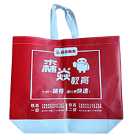 吴忠LB37培训班广告袋